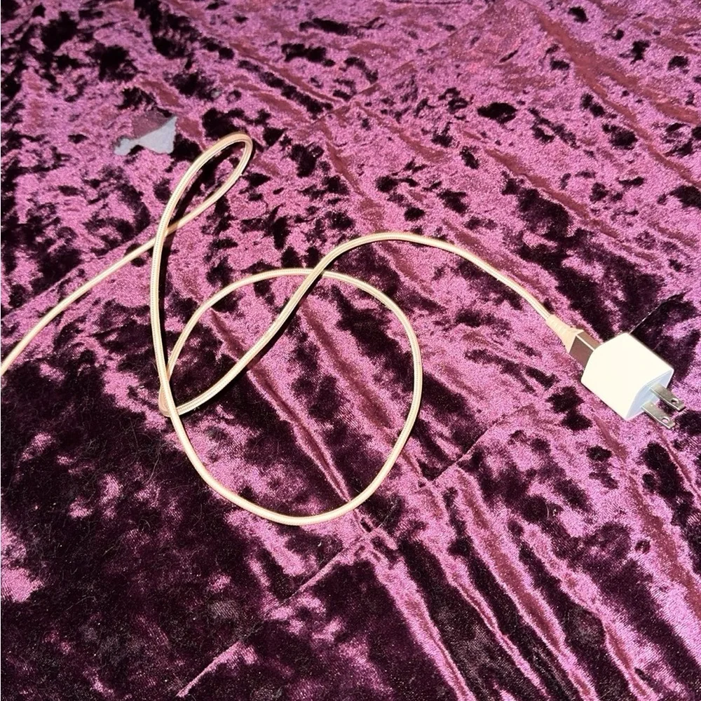 4 foot lightning charger